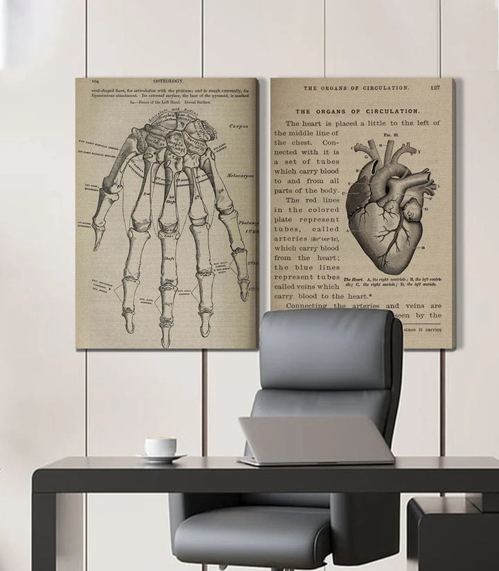 Décoration intérieur bureau — Tableau Bone and Beat diptyque scientifique Massinart