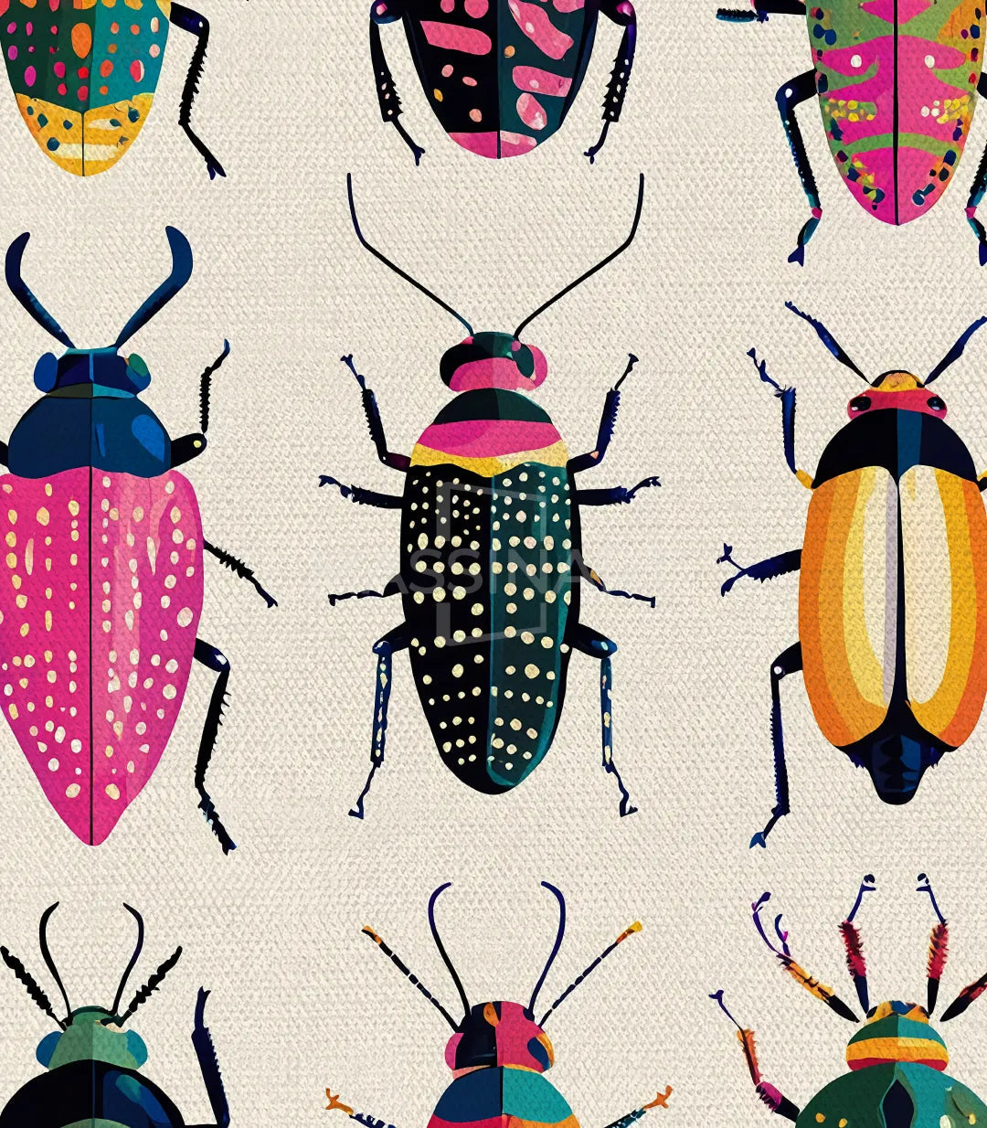 Détail coléoptères Insecta motifs géométriques Massinart