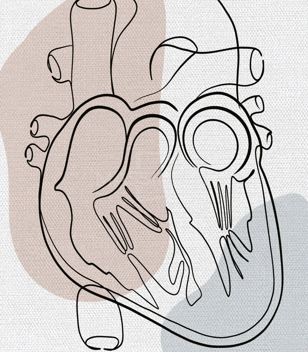 Détail frame right Tableau Heart Anatomy système cardio-vasculaire complet — Massinart