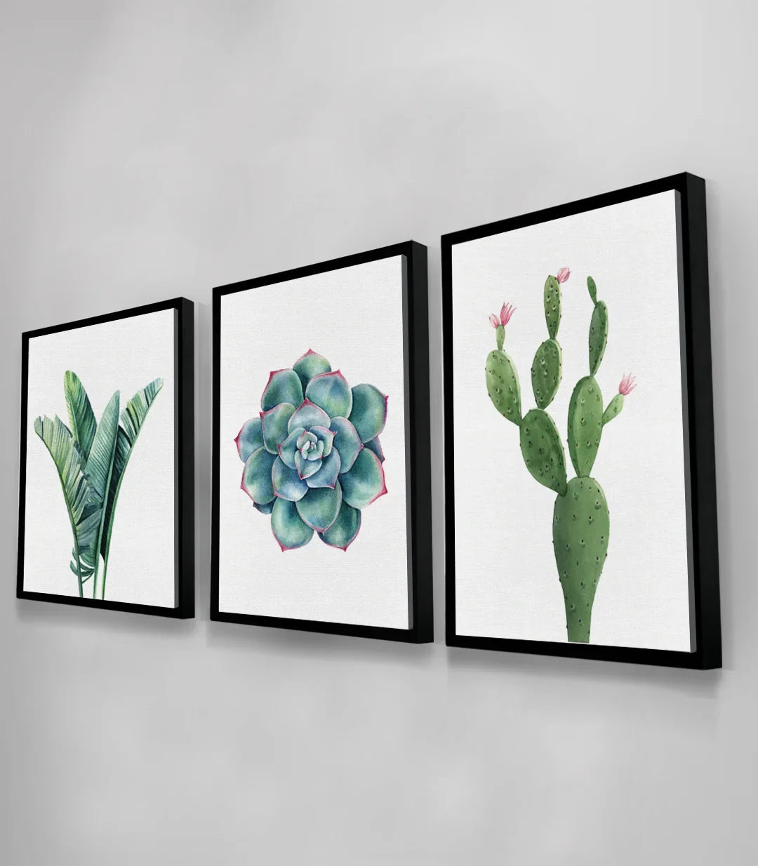 Mise en situation bureau - Triptyque Cactus plantes botaniques Massinart