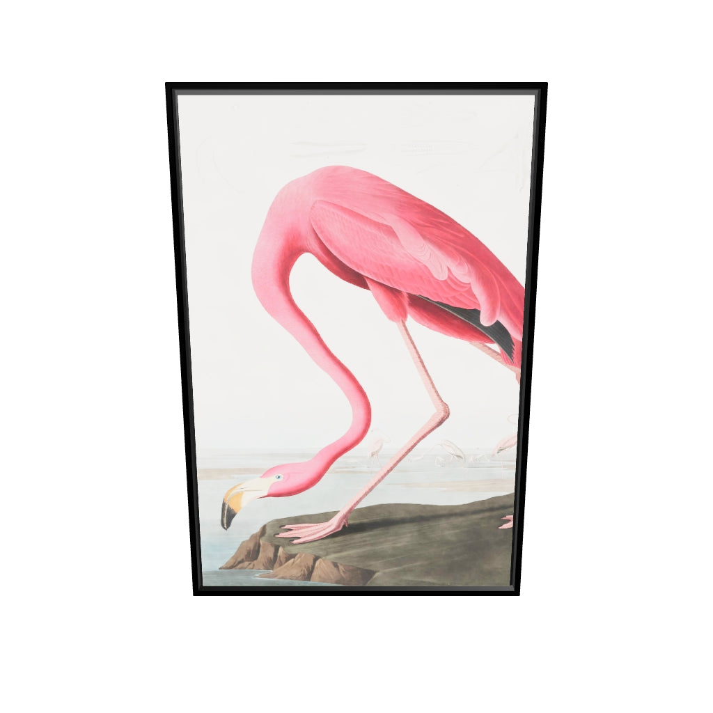 The Flamingo_s Stance