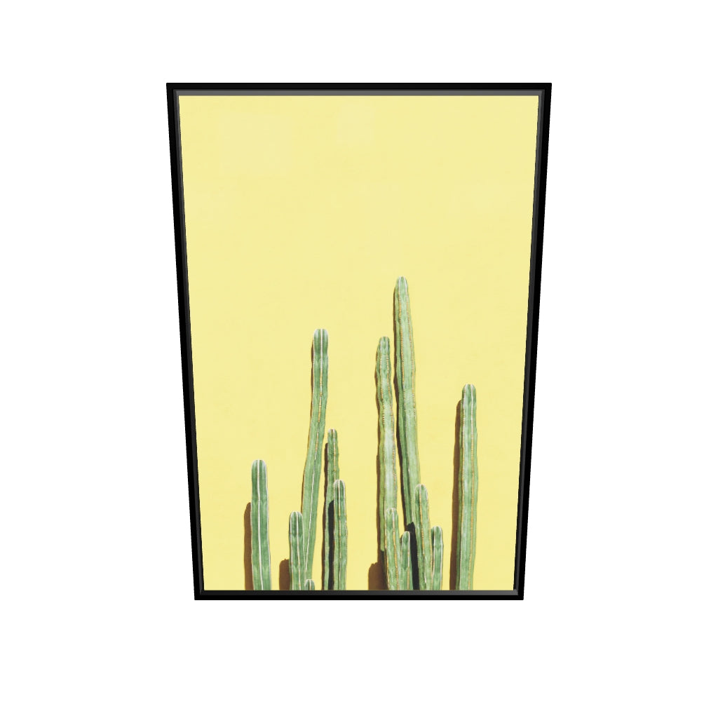 Cactusol