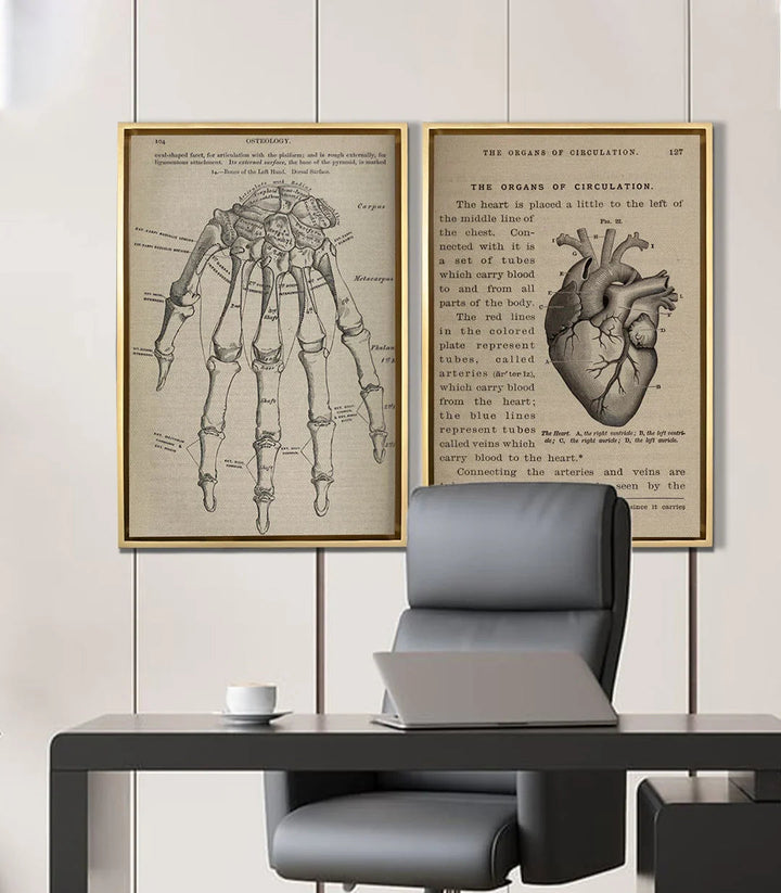 Tableau Bone and Beat diptyque — illustration cœur circulation Massinart