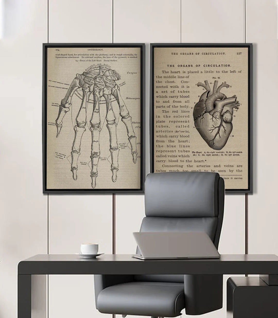 Tableau Bone and Beat diptyque — illustration main anatomique Massinart