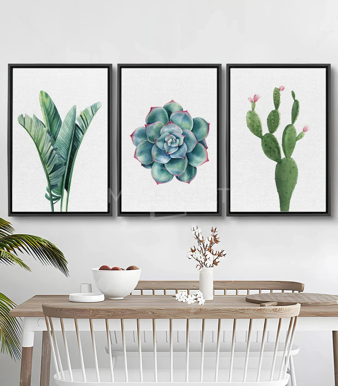 Tableau Cactus triptyque aquarelle - Feuillage vert rayé Massinart