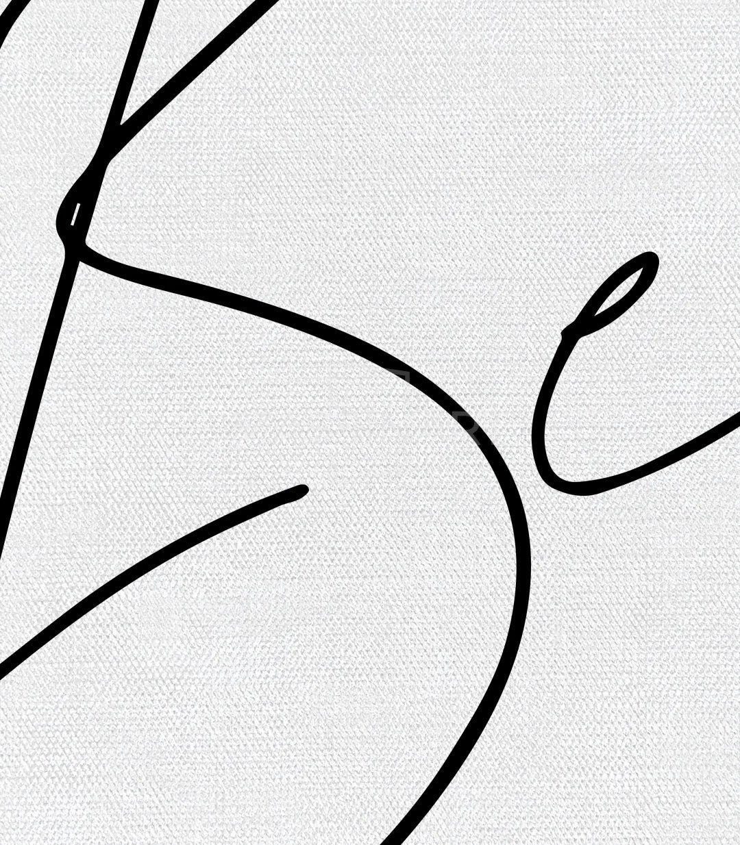 Tableau collection portrait feminin noir blanc Massinart
