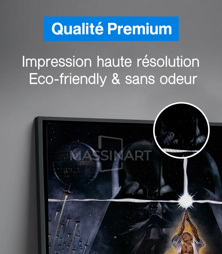 Poster légendaire Star Wars — ambiance salon contemporain Massinart