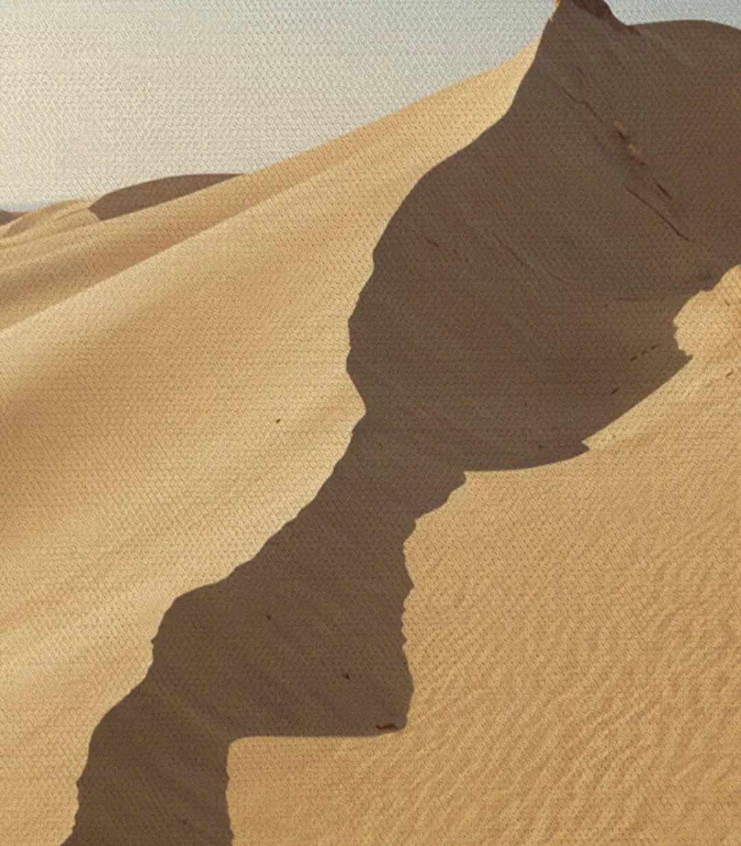 Tableau Desert Identity style épuré salon contemporain Massinart