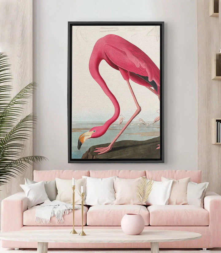 Tableau flamant rose illustration vintage Massinart — oiseau exotique rose et beige sur fond crème
