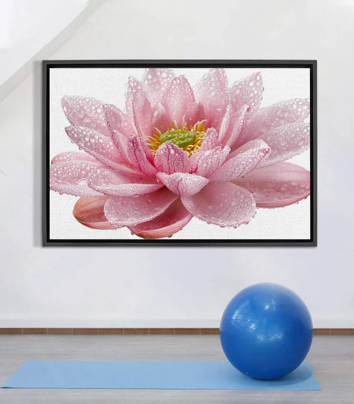 Tableau fleur lotus rose avec gouttes de rosée, cœur jaune — Massinart