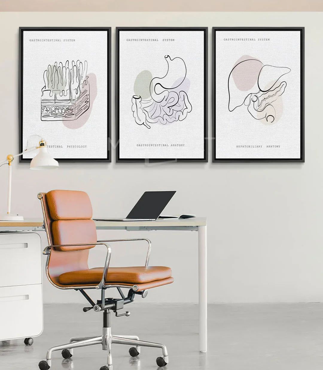 Tableau Gastro Art triptyque anatomique, illustration intestins ligne noire Massinart